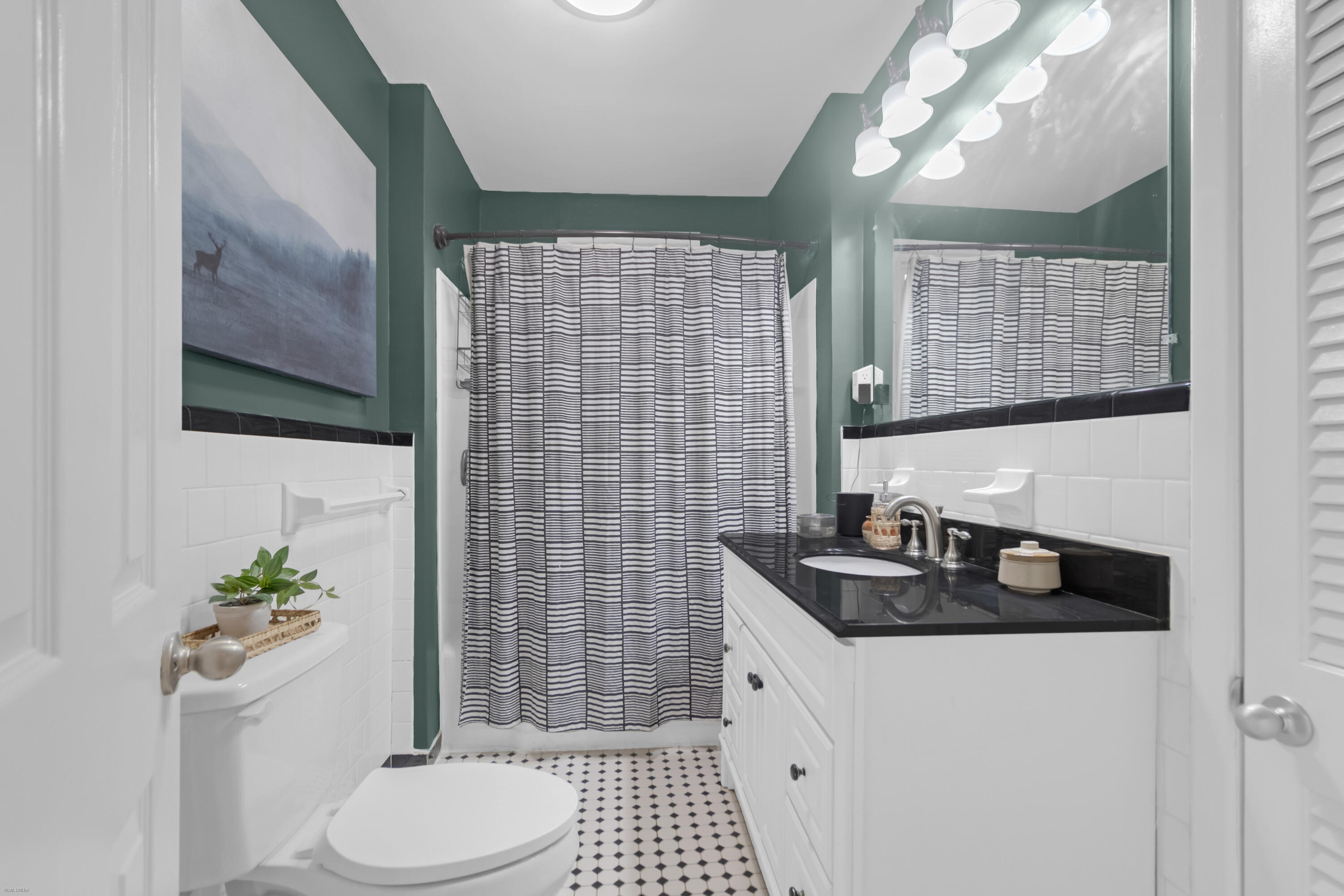 9658 Jamison Road Ladson, SC 29456 - Photo 11 of 30 Bathroom