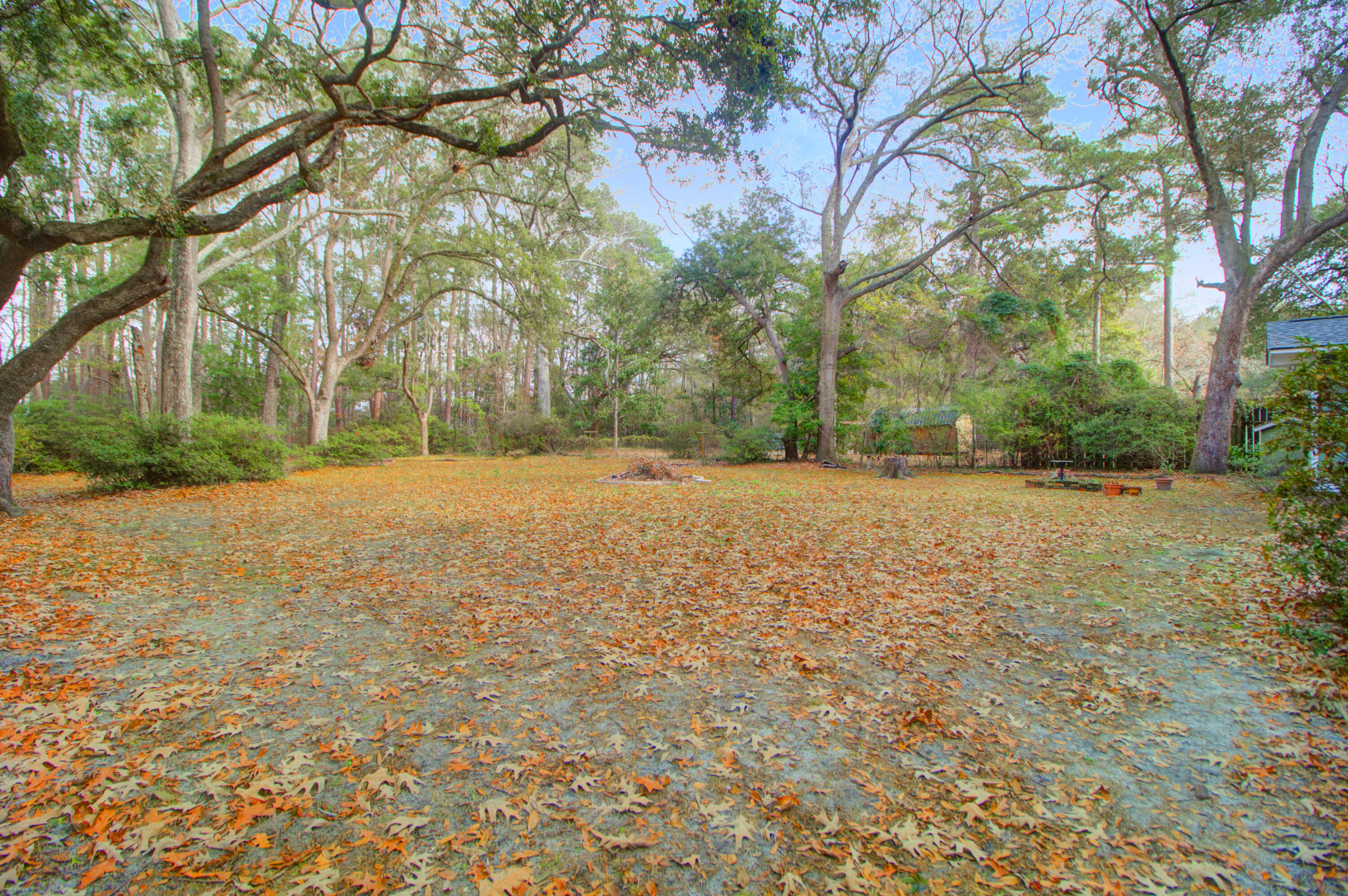 9658 Jamison Road Ladson, SC 29456 - Photo 25 of 30 Backyard