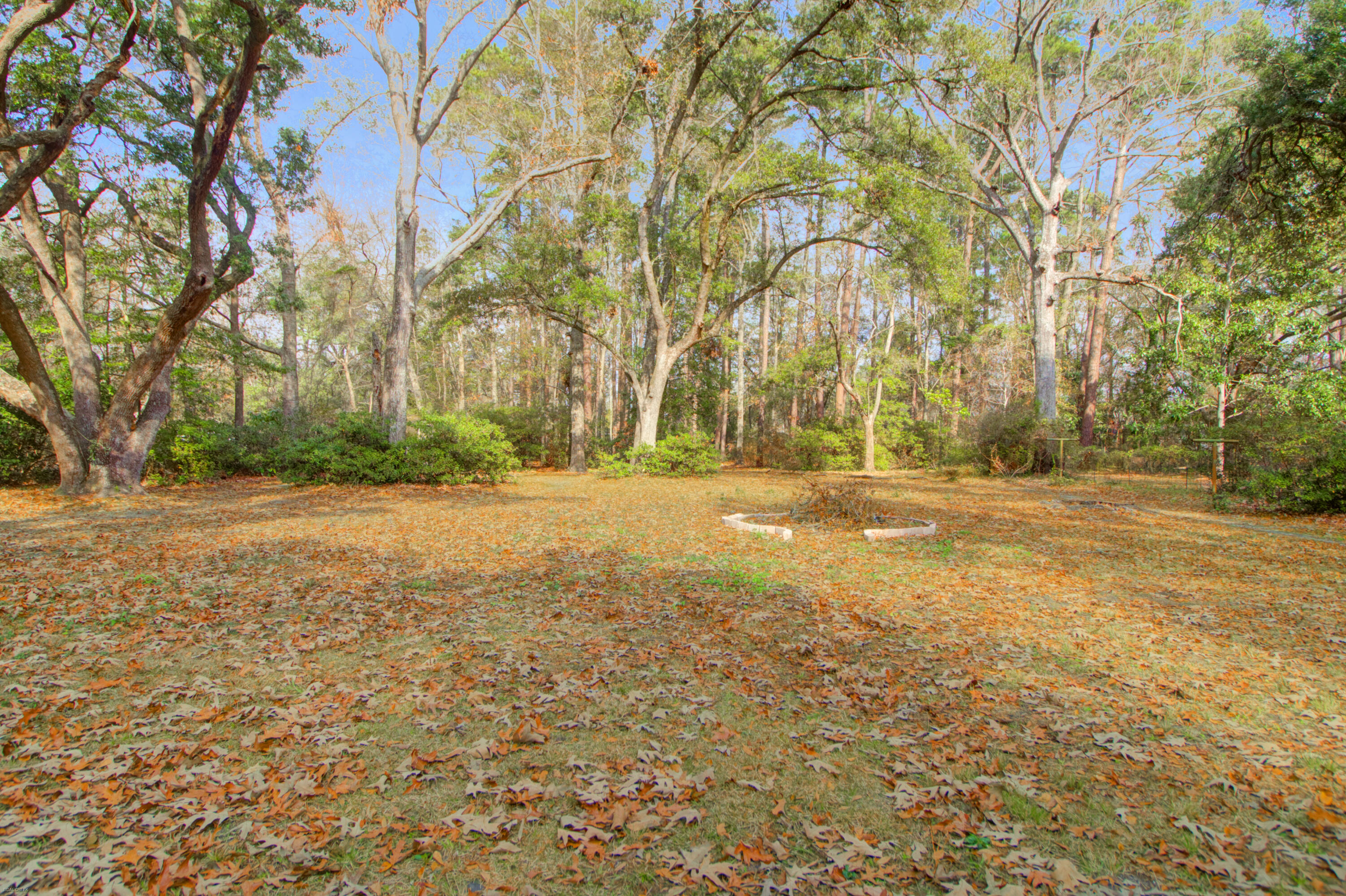9658 Jamison Road Ladson, SC 29456 - Photo 27 of 30 Backyard