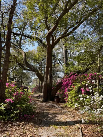 $349,900 | 9658 Jamison Road, Ladson, SC 29456