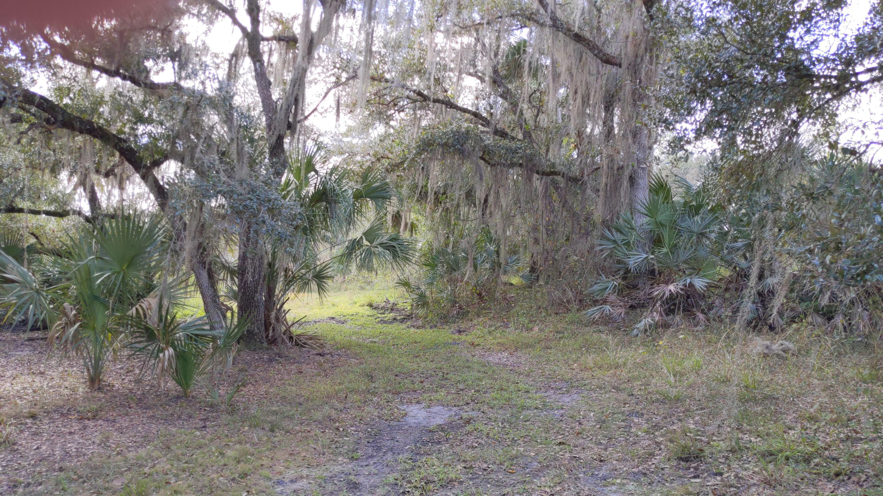 7851 Southwest Fox Brown Road Indiantown, FL 34956 - Photo 45 of 67 IMG_20210109_114223