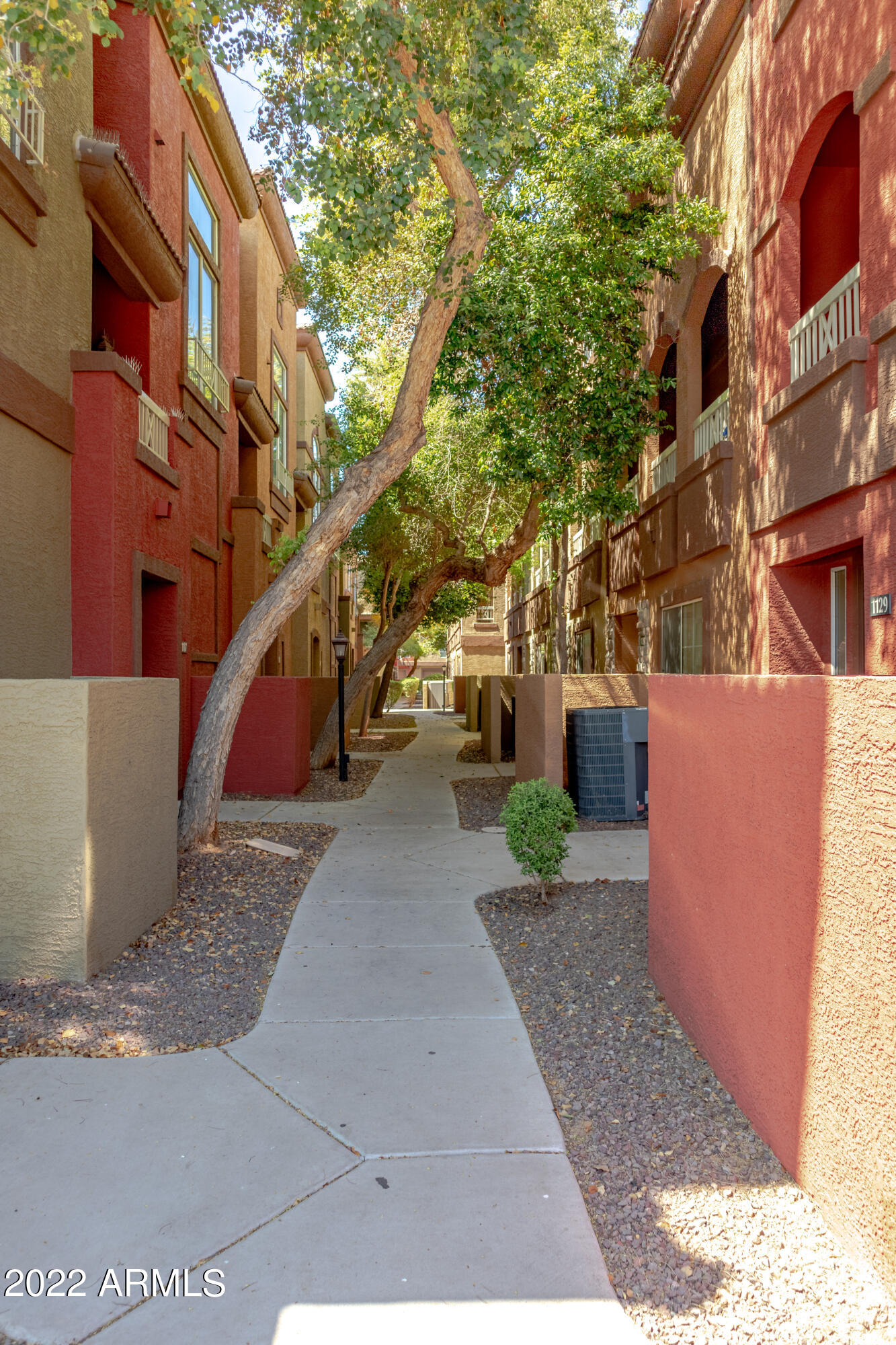 1920 East Bell Road, Unit 1107 Phoenix, AZ 85022 - Photo 2 of 16 Front Walk-Way