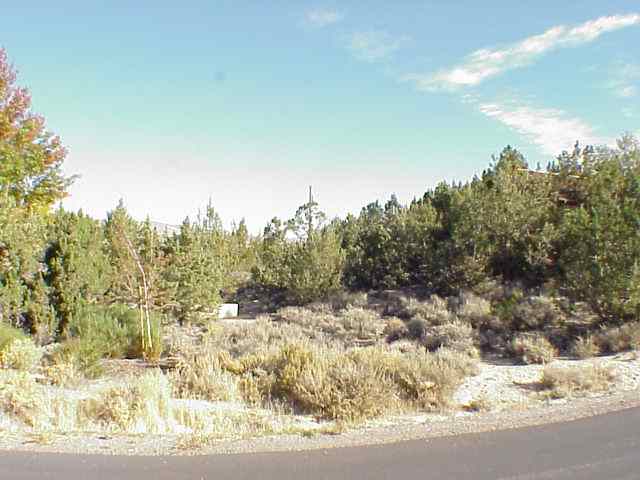 0 Ross Drive Reno, NV 89519 - Photo 1 of 1