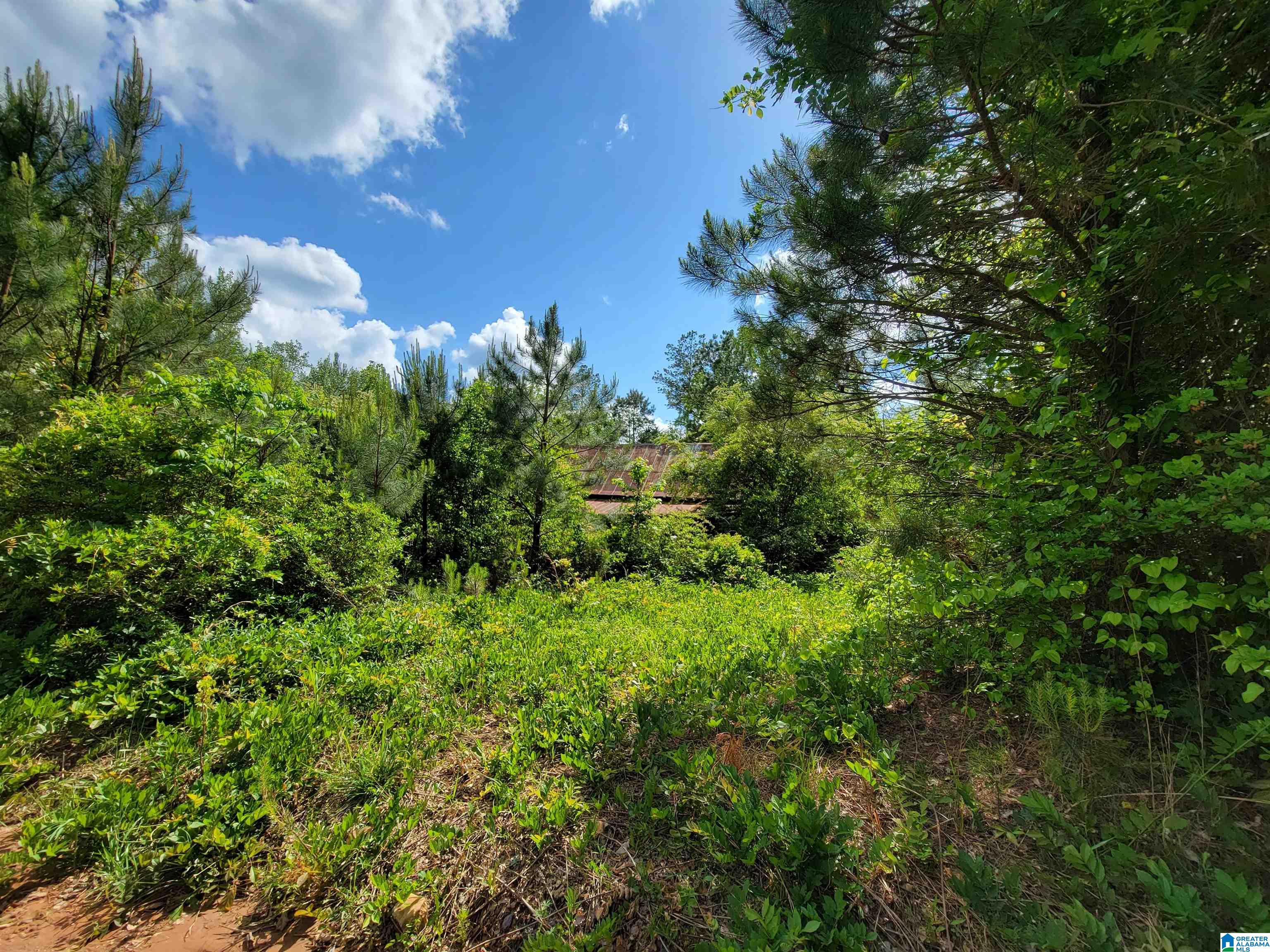 57 County Road 649 Roanoke, AL 36274 - Photo 4 of 4