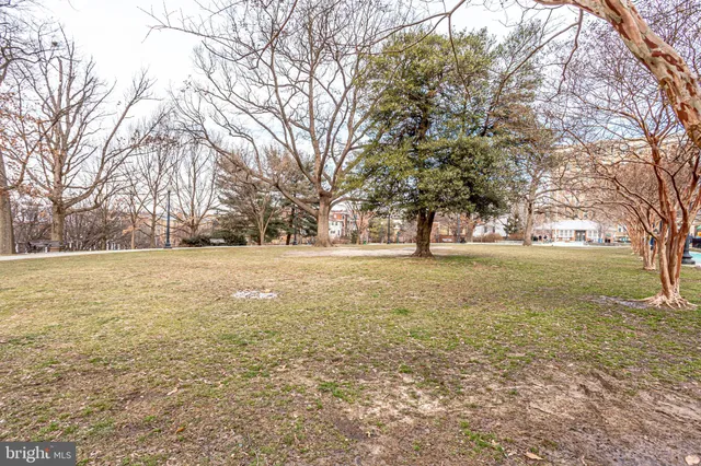 a view of a park with swings and slides