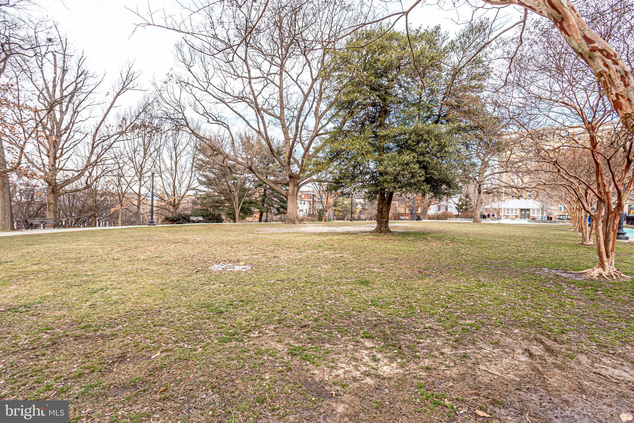 2022 Columbia Road Northwest, Unit 612 Washington, DC 20009 - Photo 26 of 29 a view of outdoor space with trees