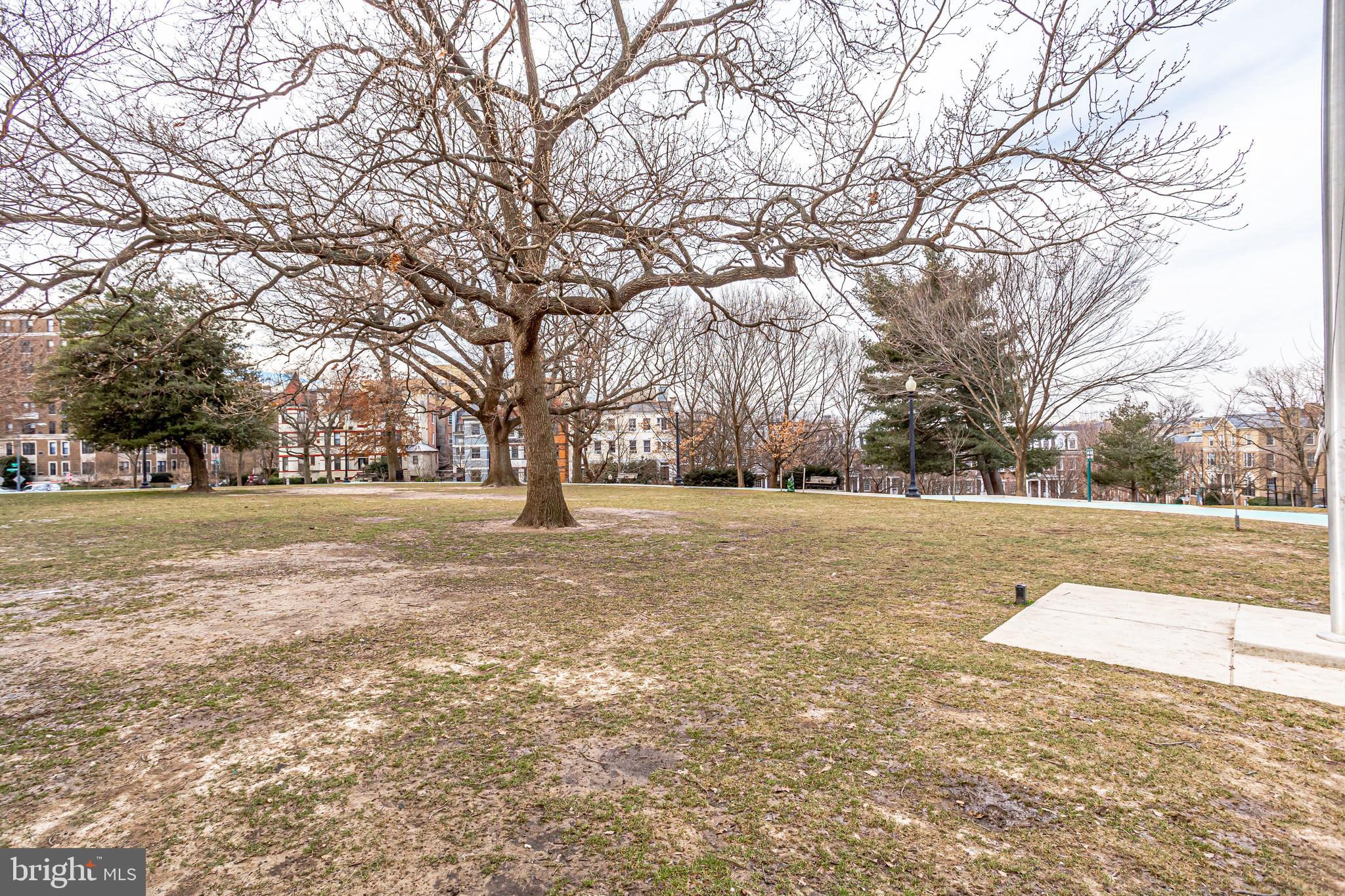 2022 Columbia Road Northwest, Unit 612 Washington, DC 20009 - Photo 27 of 29 a view of outdoor space with trees