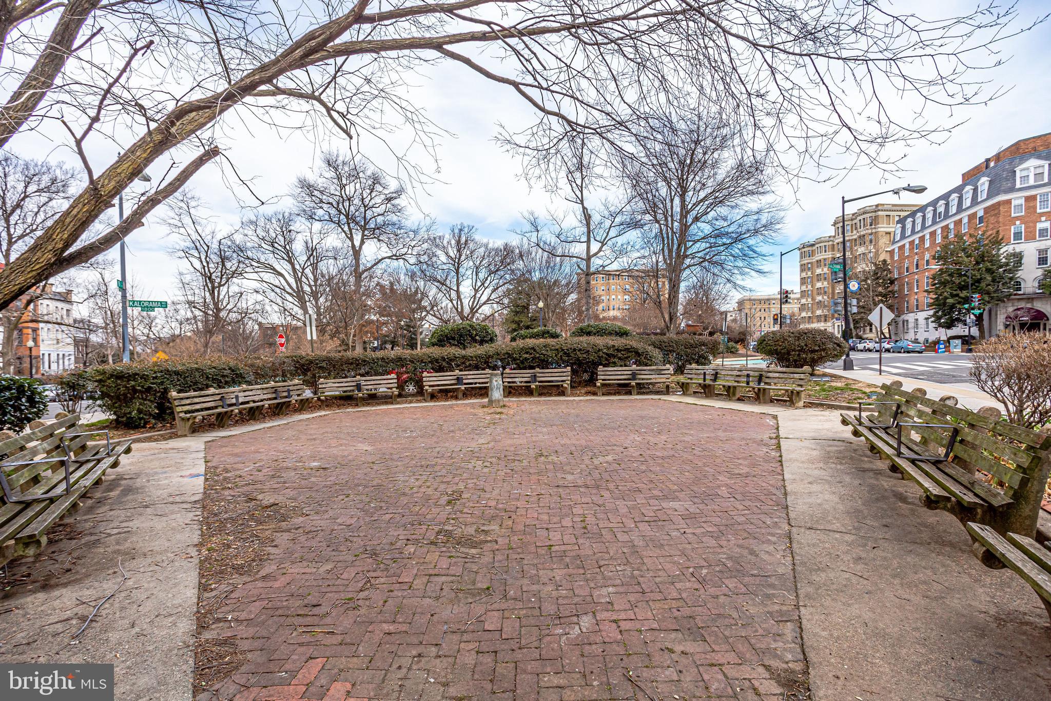 2022 Columbia Road Northwest, Unit 612 Washington, DC 20009 - Photo 29 of 29 a view of road with card and trees