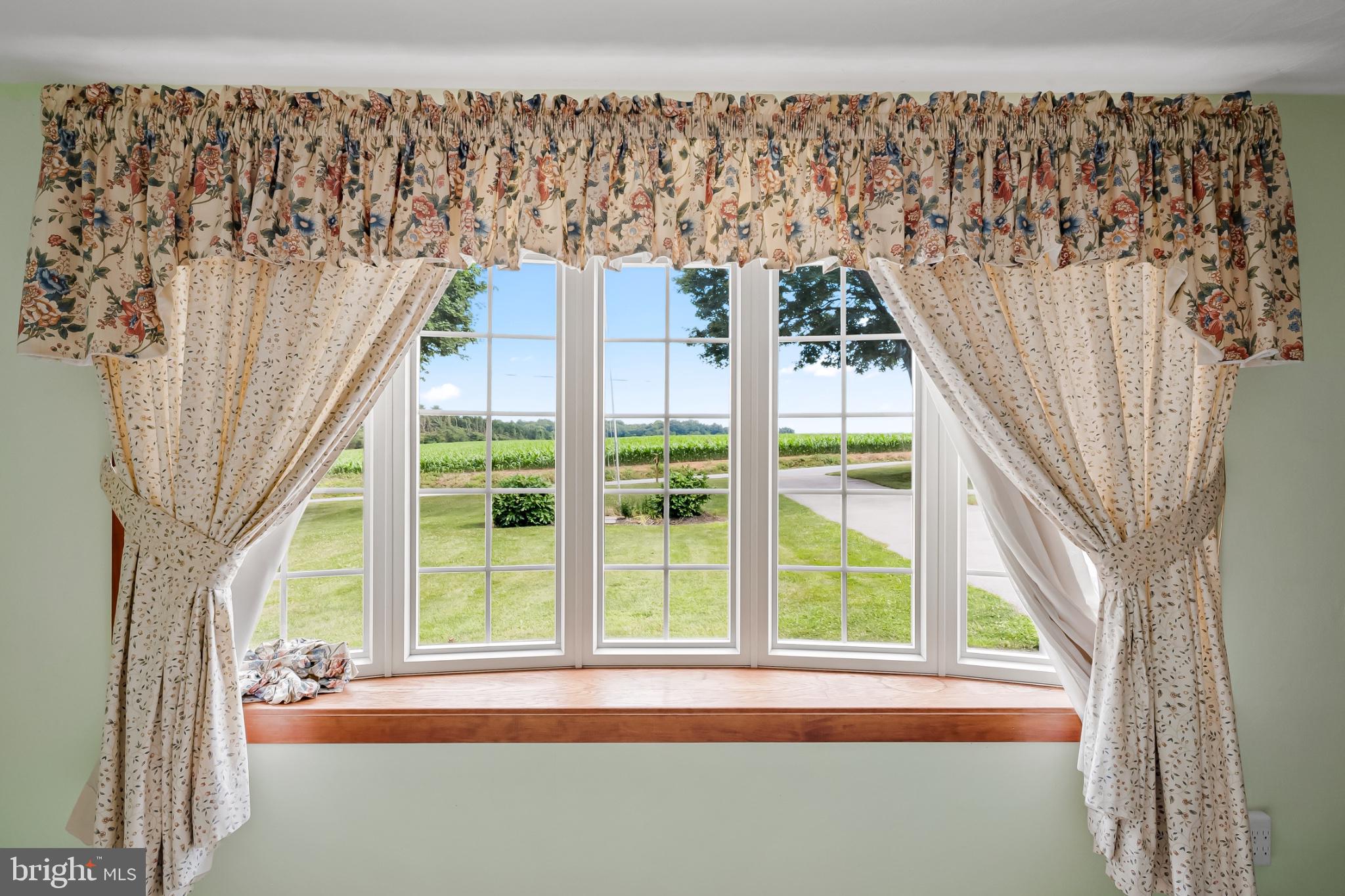 2100 Peterman Road Freeland, MD 21053 - Photo 7 of 36 Charming view from a cozy window.