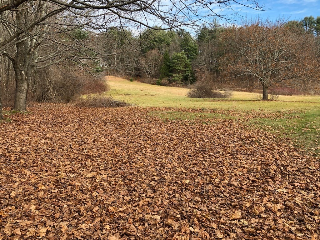 Lot 90 Palmer Road Ware, MA 01082 - Photo 6 of 19 Gallery Image 6