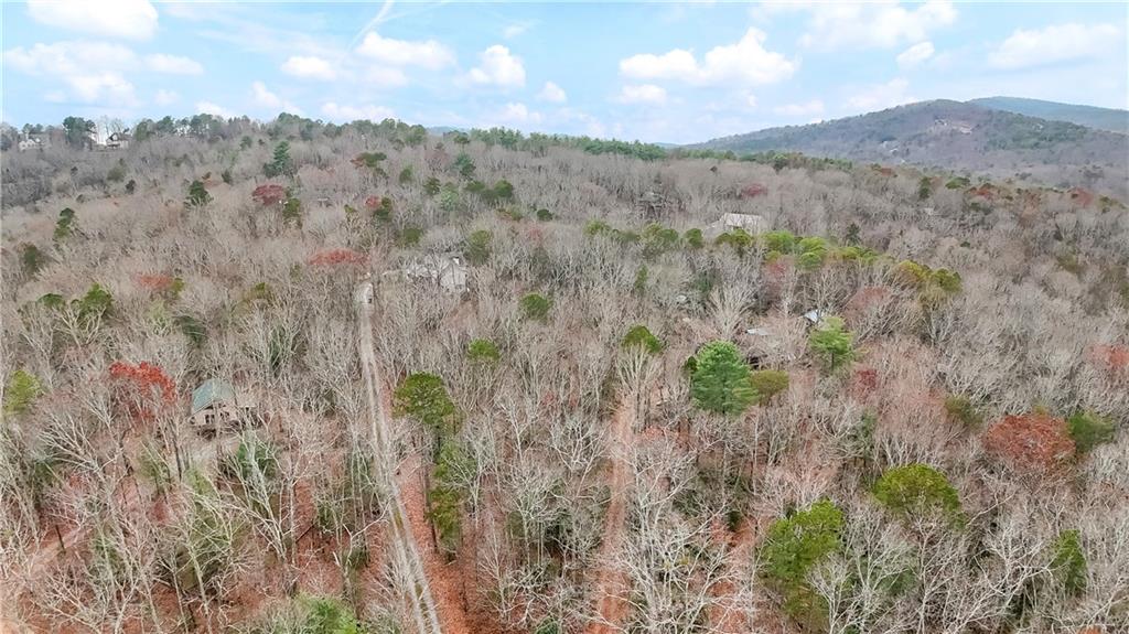 112 Old Stagecoach Road Clarkesville, GA 30523 - Photo 35 of 39