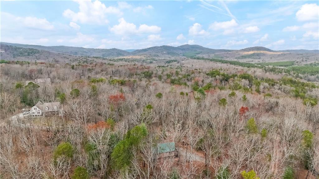 112 Old Stagecoach Road Clarkesville, GA 30523 - Photo 37 of 39