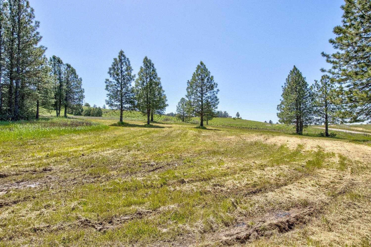 13320 Oakstream Road Plymouth, CA 95669 - Photo 66 of 98