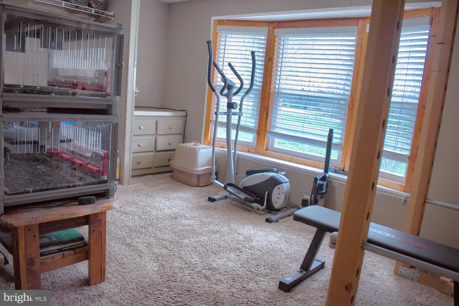 202 T786 Stillwater, PA 17878 - Photo 15 of 29 a living room with furniture and a window