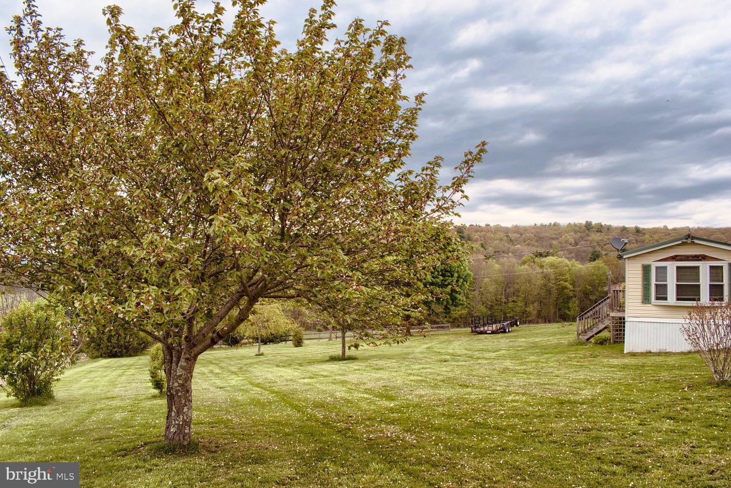 202 T786 Stillwater, PA 17878 - Photo 26 of 29 a view of a yard with an trees