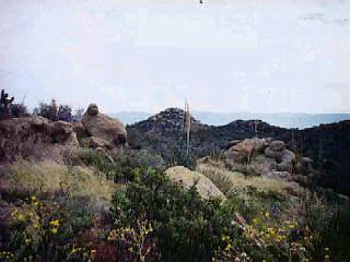 0 South Cody Loop Road Oracle, AZ 85623 - Photo 1 of 1
