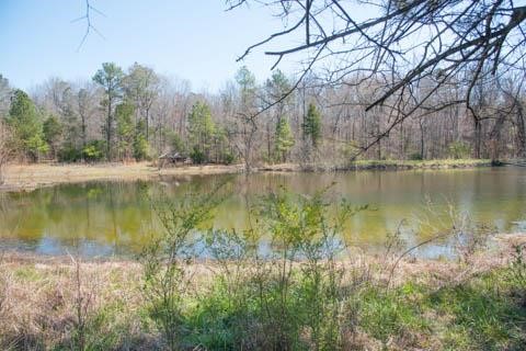 33 Cleveland Road Edgefield, SC 29824 - Photo 12 of 17