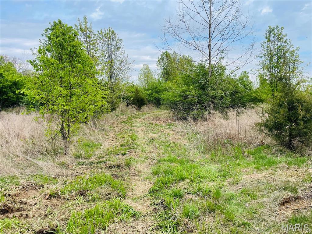 0 Lot Road Winfield, MO 63389 - Photo 13 of 38