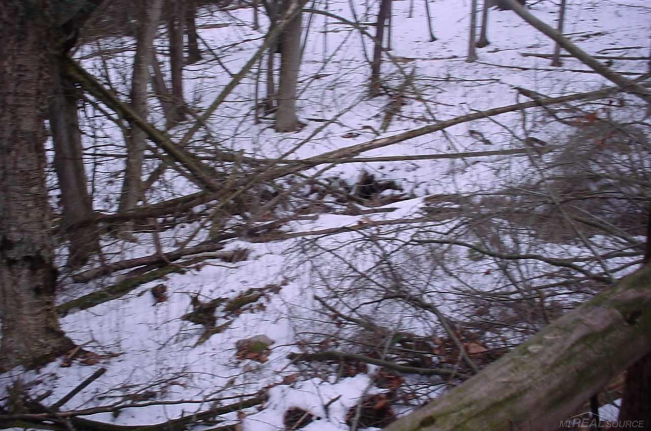 6228 Forester Road Carsonville, MI 48419 - Photo 21 of 30