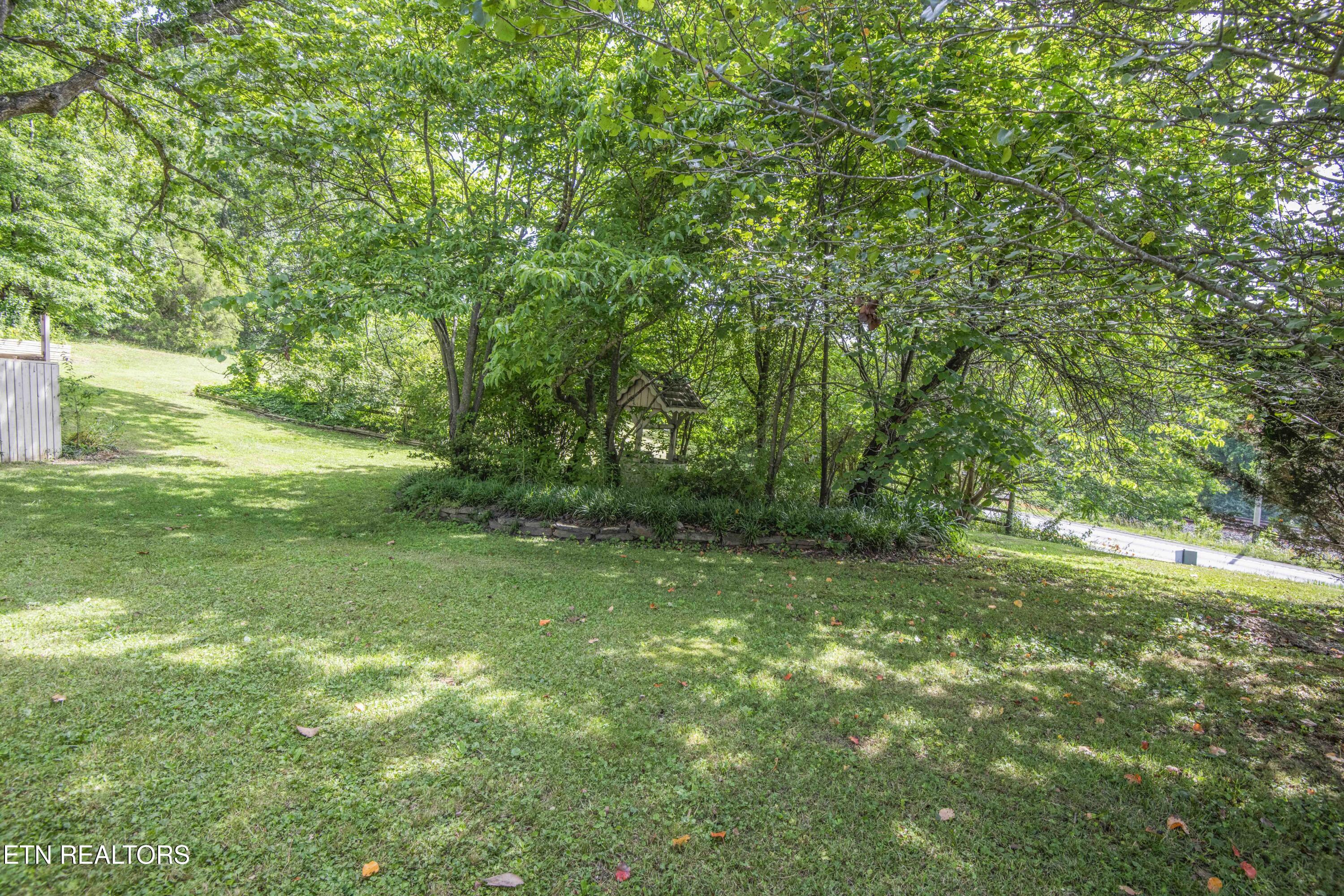 17761 Alberta Street Oneida, TN 37841 - Photo 53 of 56 yard 20_1 - Copy