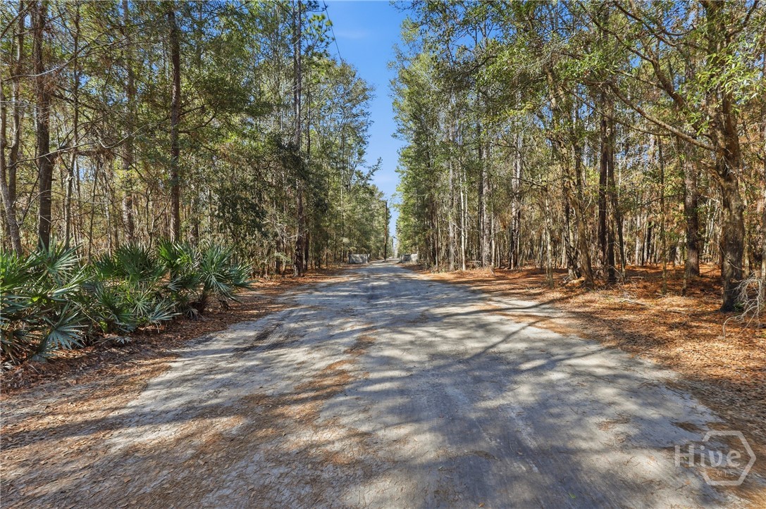 123 High Bluff Road Rincon, GA 31326 - Photo 7 of 39 Gallery Image 7
