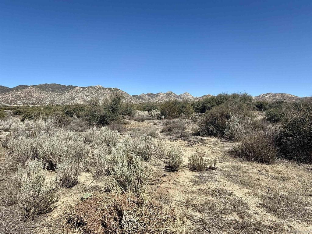 Mcconamara Drive Ranchita, CA 92066 - Photo 11 of 20 a view of a yard