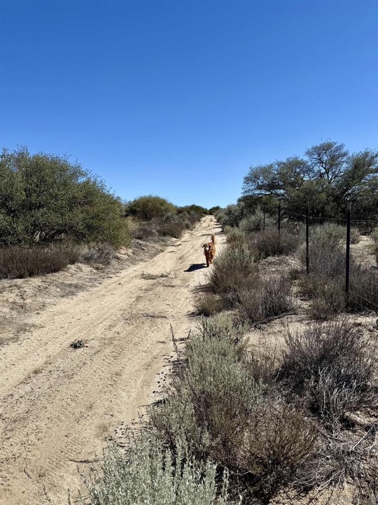 Mcconamara Drive Ranchita, CA 92066 - Photo 17 of 20 a view of mountain view with lots of trees