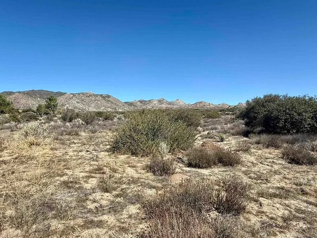 a view of a dry yard