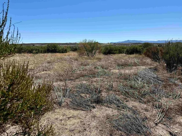 a view of a field with an ocean