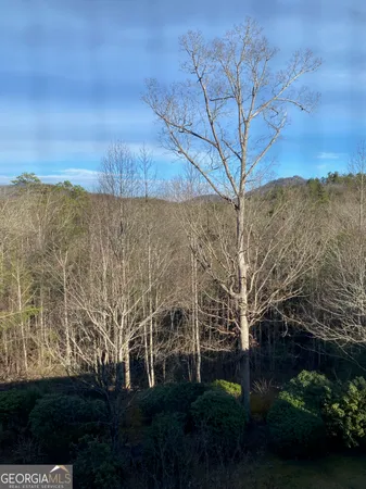a view of a yard with an outdoor space