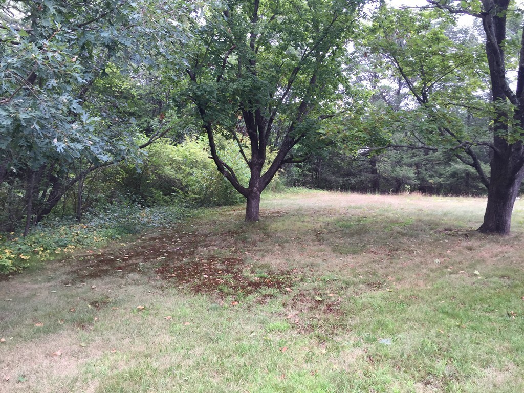 115 Balm Of Life Spring Road Uxbridge, MA 01569 - Photo 8 of 10 Gallery Image 8