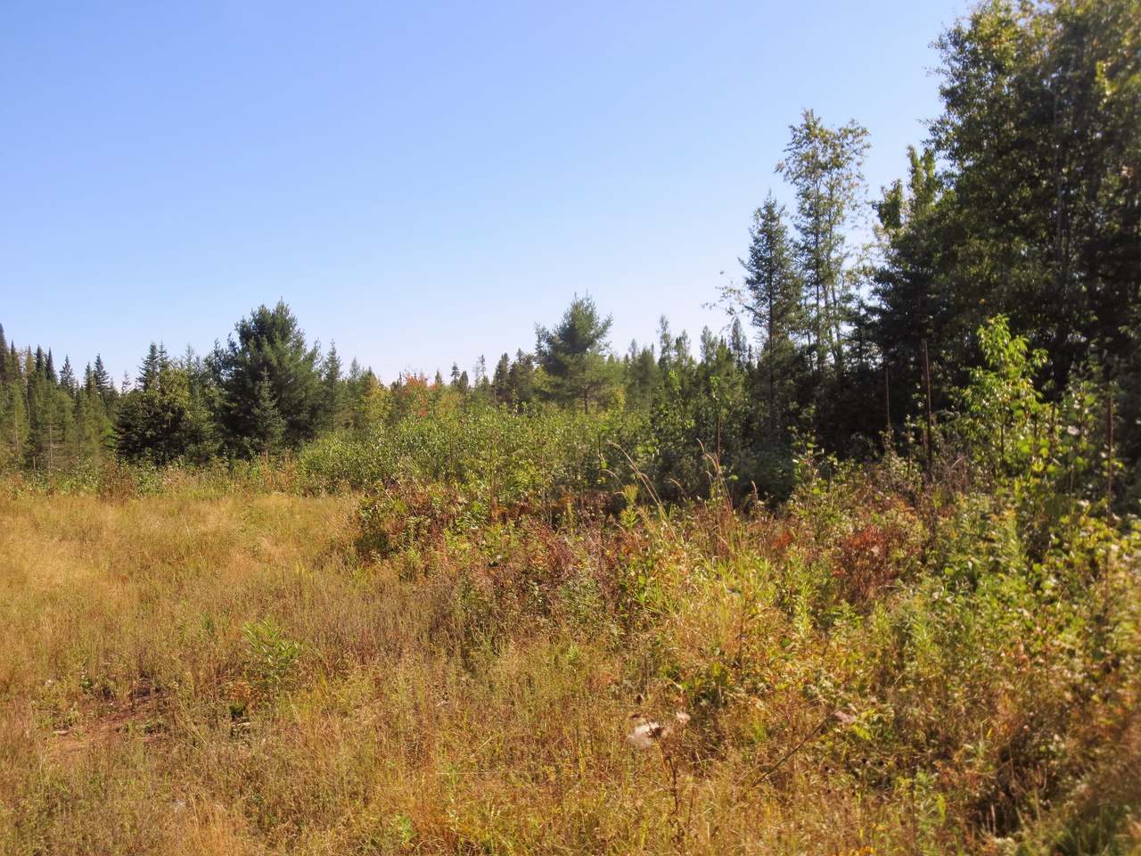 2979 Hwy 8 Rhinelander Wi 54501 Rhinelander, WI 54501 - Photo 4 of 12 Gallery Image 4