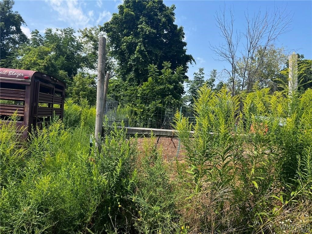 3756 North Main Street Road Murray, NY 14470 - Photo 8 of 50