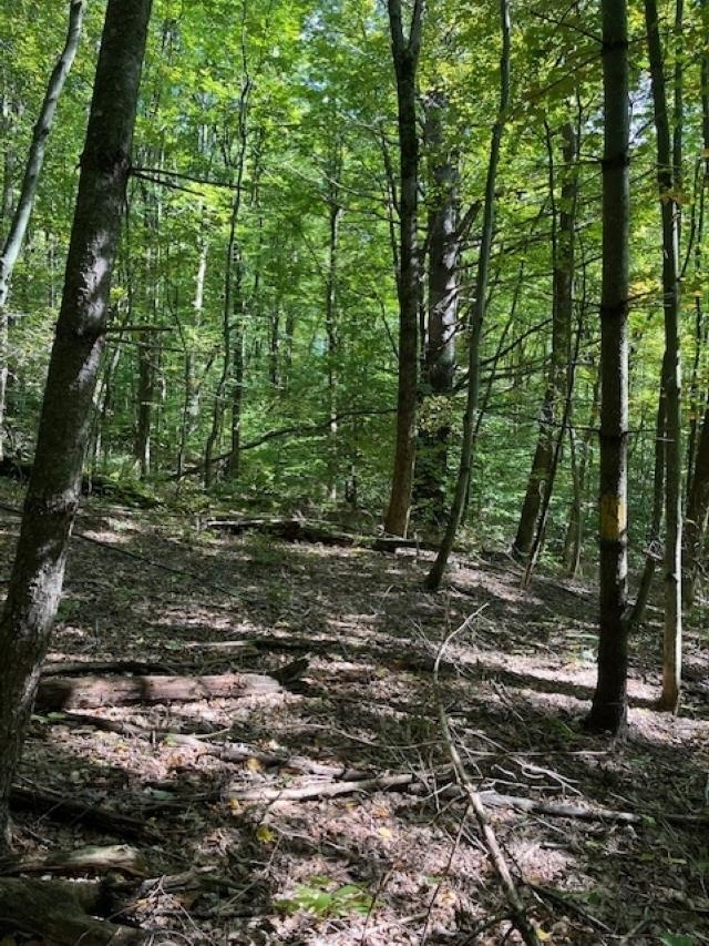 0 Rupert Road Sandgate, VT 05250 - Photo 12 of 12