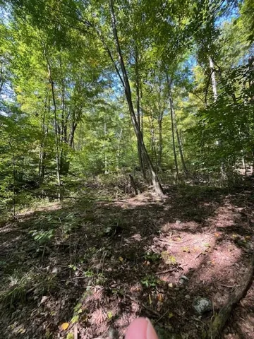 $55,000 | 0 Rupert Road, Sandgate, VT 05250