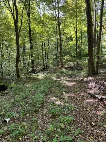 $55,000 | 0 Rupert Road, Sandgate, VT 05250