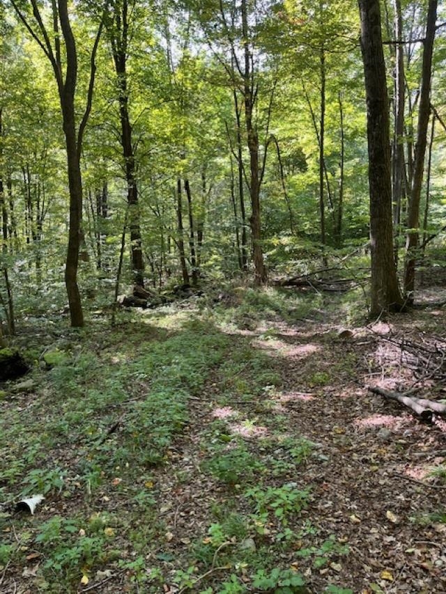 0 Rupert Road Sandgate, VT 05250 - Photo 3 of 12