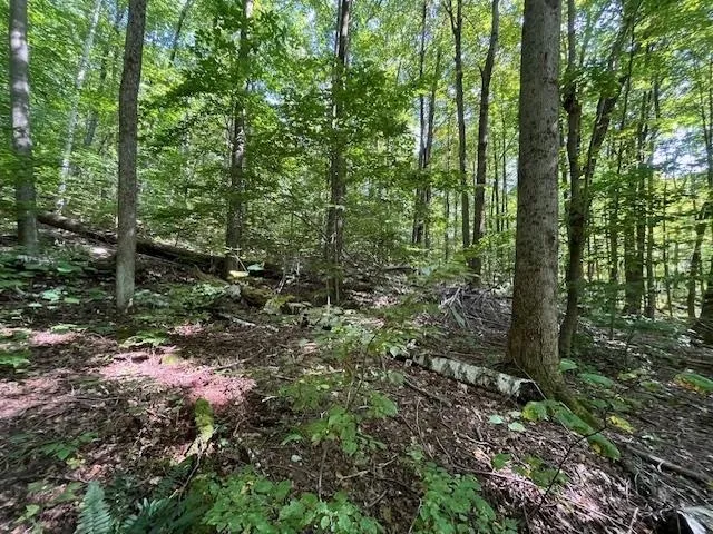 $55,000 | 0 Rupert Road, Sandgate, VT 05250