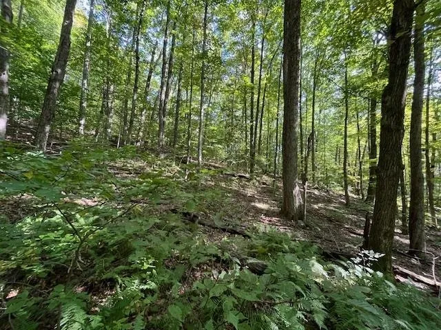 $55,000 | 0 Rupert Road, Sandgate, VT 05250