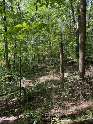 $55,000 | 0 Rupert Road, Sandgate, VT 05250