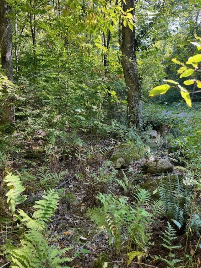 0 Rupert Road Sandgate, VT 05250 - Photo 10 of 12