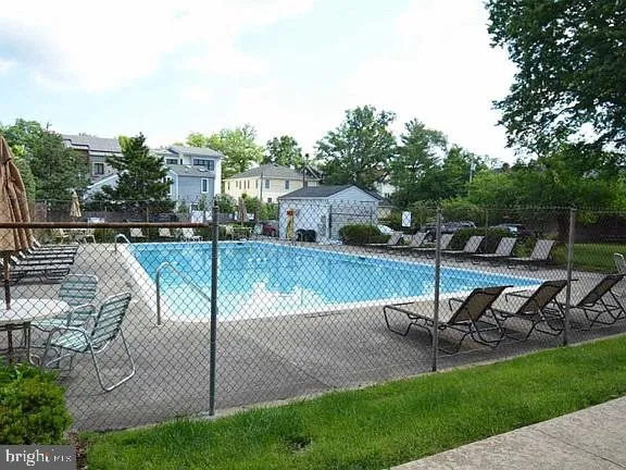 a view of a garden with plants