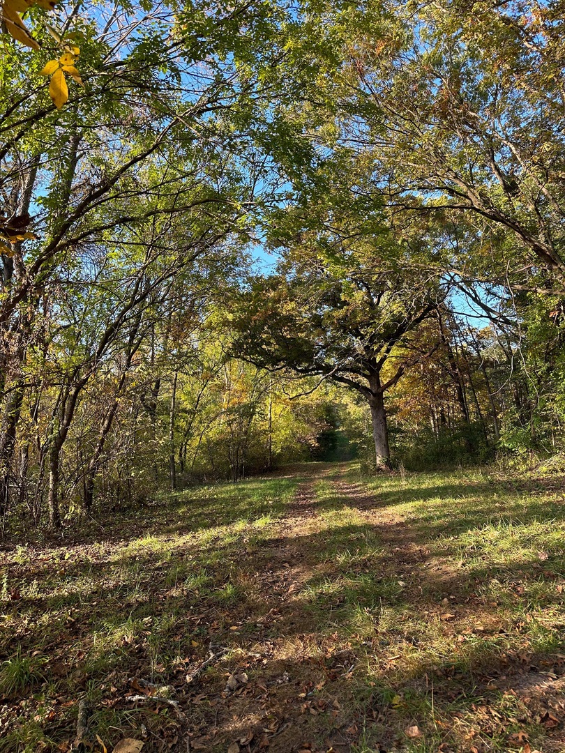 0 River (52.0 Acres) Road Oregon, IL 61061 - Photo 11 of 19 Gallery Image 11