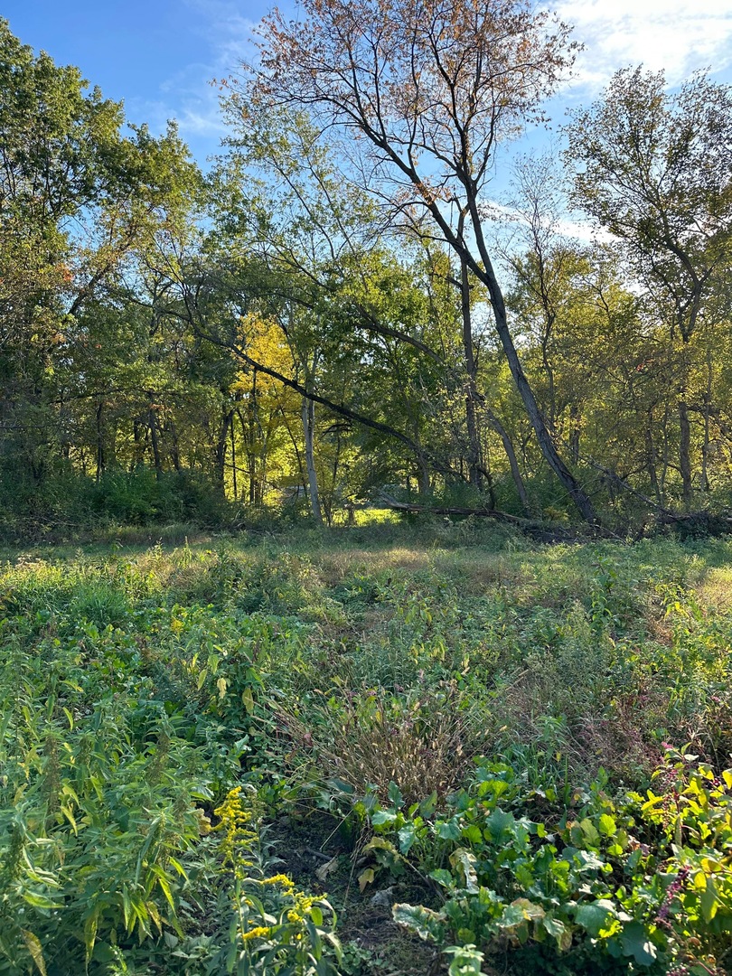 0 River (52.0 Acres) Road Oregon, IL 61061 - Photo 13 of 19 Gallery Image 13