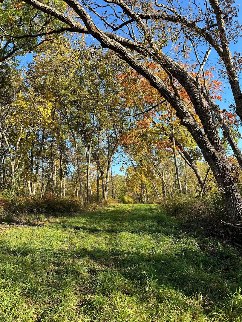 0 River (52.0 Acres) Road Oregon, IL 61061 - Photo 14 of 19 Gallery Image 14