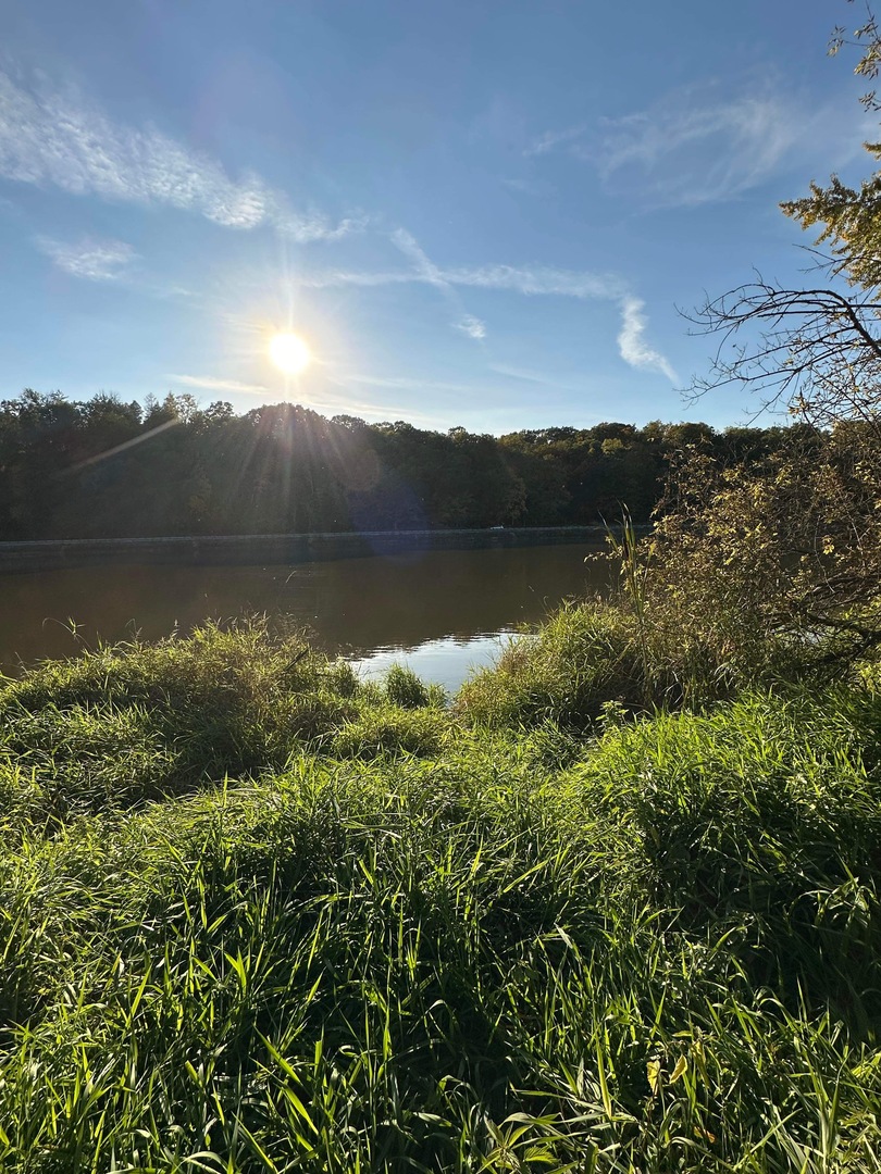 0 River (52.0 Acres) Road Oregon, IL 61061 - Photo 15 of 19 Gallery Image 15
