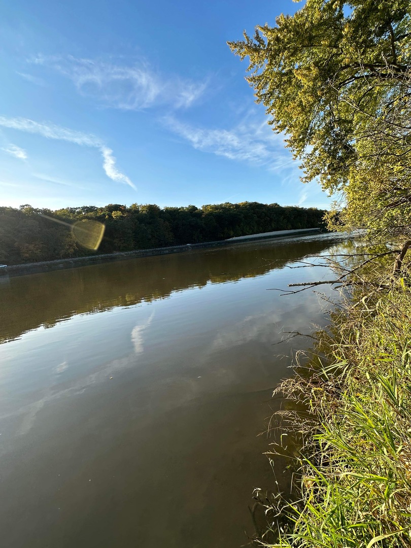 0 River (52.0 Acres) Road Oregon, IL 61061 - Photo 16 of 19 Gallery Image 16