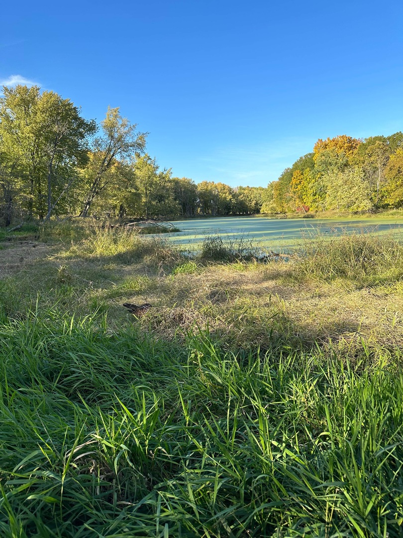 0 River (52.0 Acres) Road Oregon, IL 61061 - Photo 18 of 19 Gallery Image 18