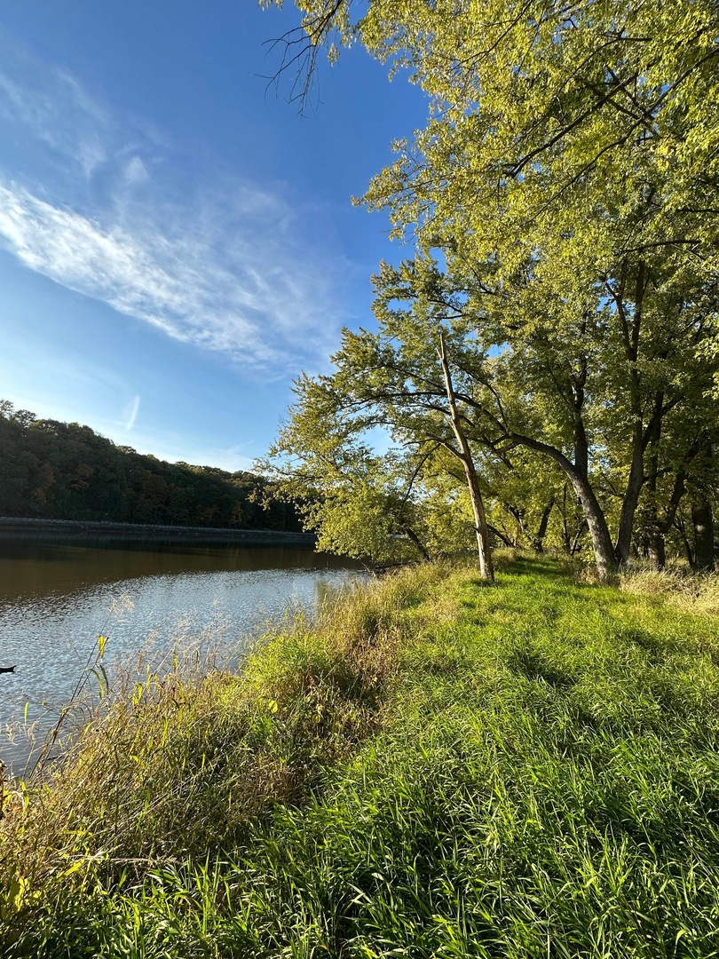 0 River (52.0 Acres) Road Oregon, IL 61061 - Photo 19 of 19 Gallery Image 19