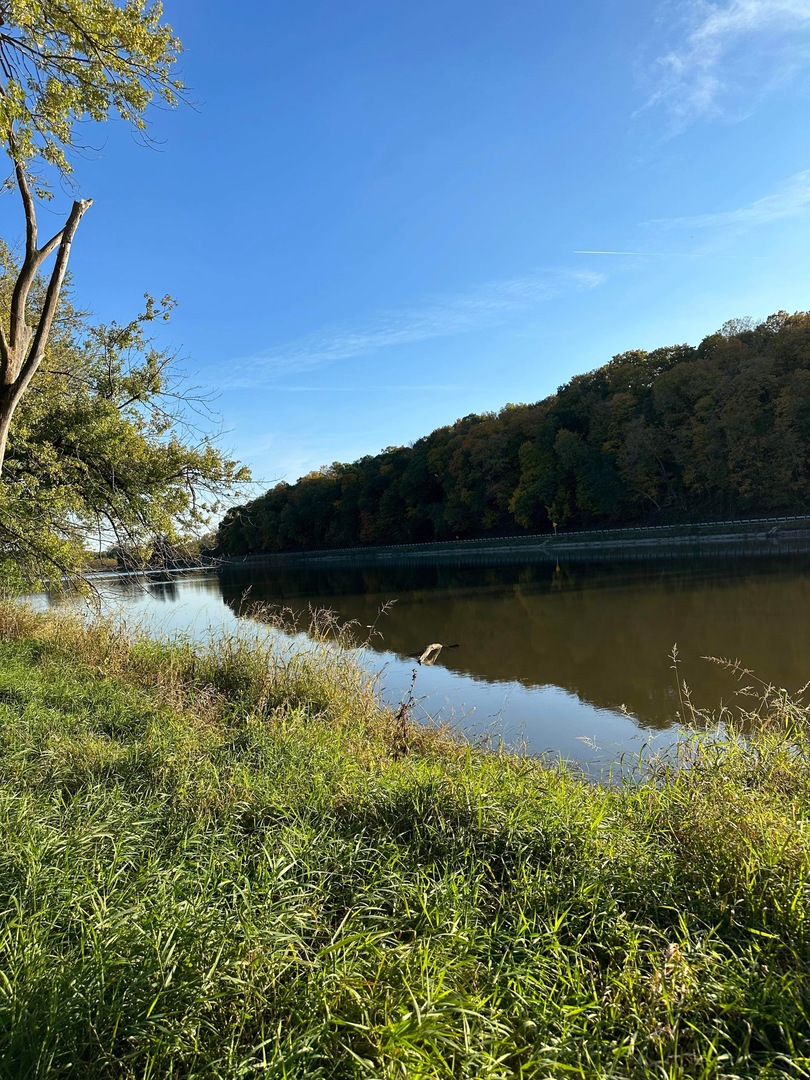 0 River (52.0 Acres) Road Oregon, IL 61061 - Photo 4 of 19 Gallery Image 4